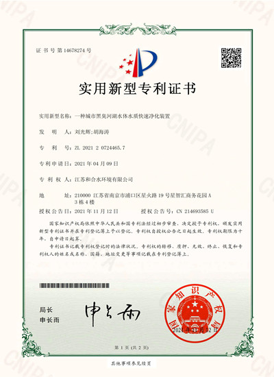 一种都会黑臭河湖水体水质快速净化妆置