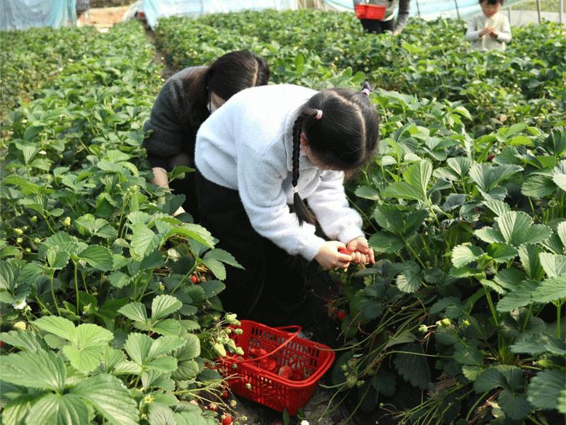 6966集团-不凡成就非凡,相信品牌的力量
