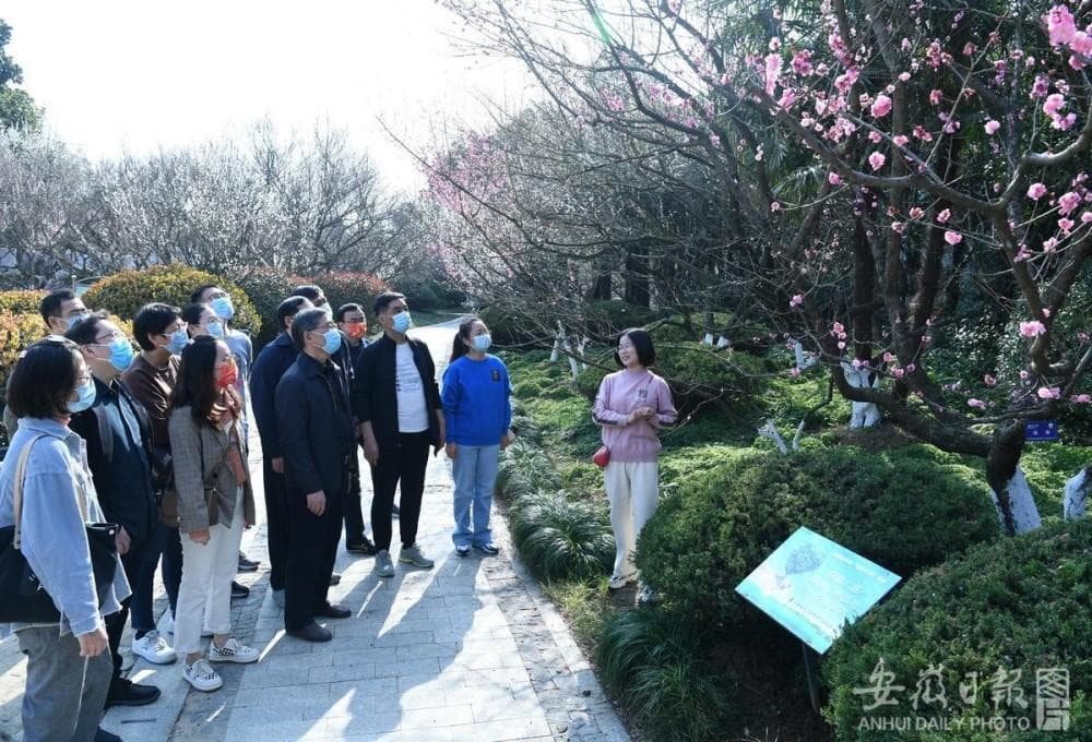 6966集团-不凡成就非凡,相信品牌的力量
