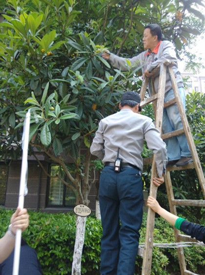 6966集团-不凡成就非凡,相信品牌的力量