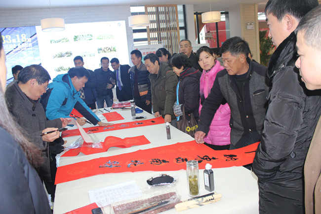 6966集团-不凡成就非凡,相信品牌的力量