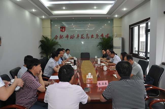 20170901181639_5937 6966集团-不凡成就非凡,相信品牌的力量