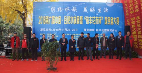 6966集团-不凡成就非凡,相信品牌的力量