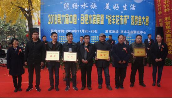 6966集团-不凡成就非凡,相信品牌的力量