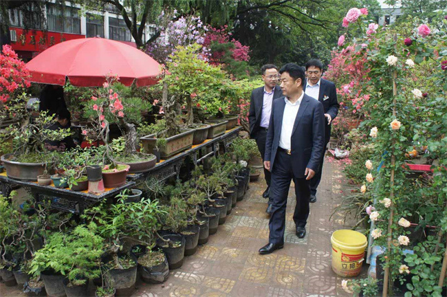 6966集团-不凡成就非凡,相信品牌的力量