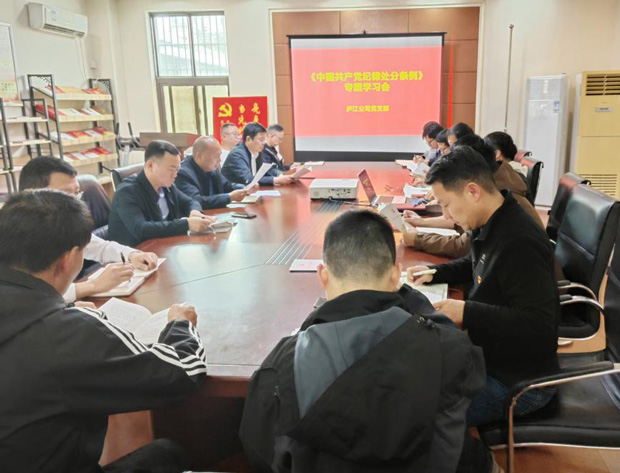 6966集团-不凡成就非凡,相信品牌的力量