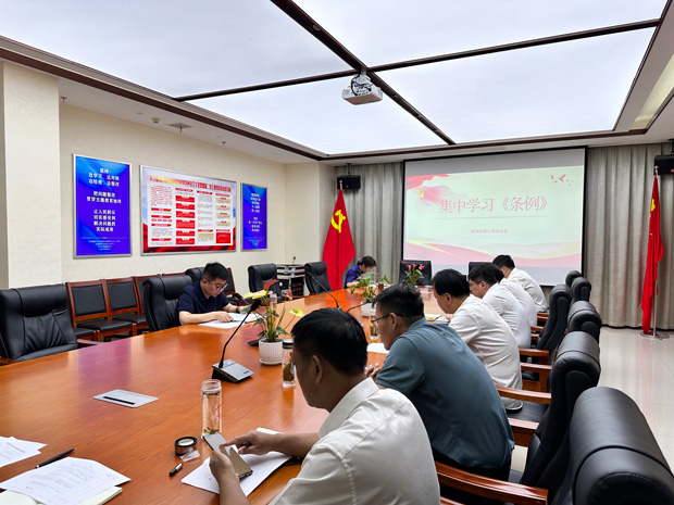 6966集团-不凡成就非凡,相信品牌的力量