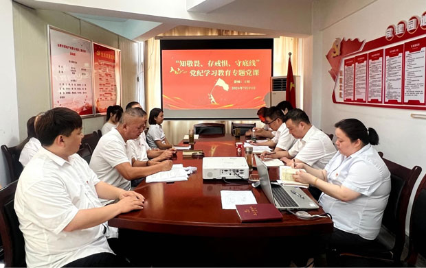 6966集团-不凡成就非凡,相信品牌的力量
