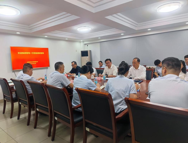 6966集团-不凡成就非凡,相信品牌的力量