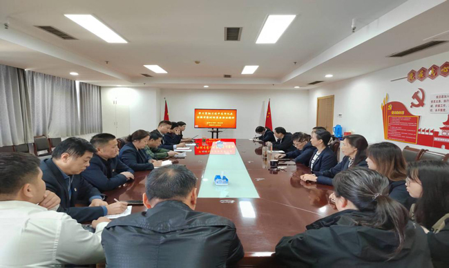 20241118104915_5137 6966集团-不凡成就非凡,相信品牌的力量
