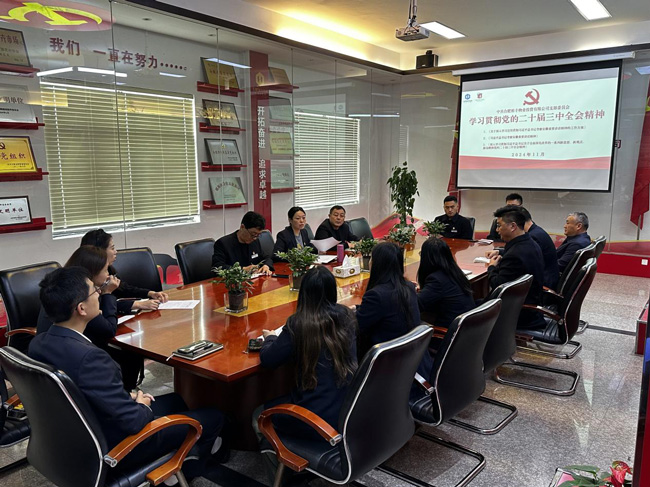 6966集团-不凡成就非凡,相信品牌的力量