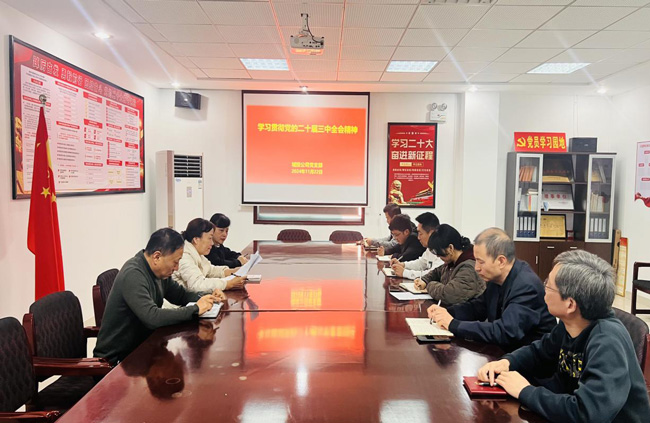 6966集团-不凡成就非凡,相信品牌的力量