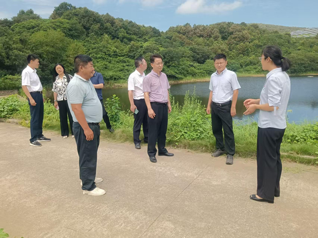 20250723171731_6010 6966集团-不凡成就非凡,相信品牌的力量